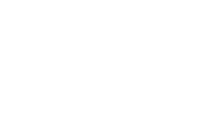 Snapmoves by Mayflower logo